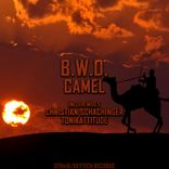 Artwork voor "Camel"