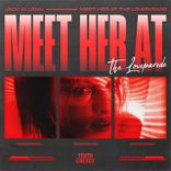 Artwork voor "Meet Her at the Loveparade"