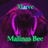 Artwork für "Malinas Bee (Mixes)"