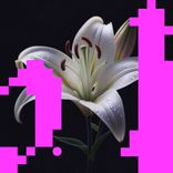 Portada para "Landslide"