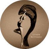 Artwork für "Butterfly"