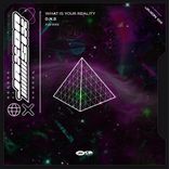 What Is Your Reality?