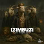 Artwork for "Izimbuzi"