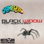 Artwork for "Black Widow"
