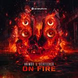 Artwork voor "On Fire"