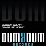 Artwork for "Reason Of Life"