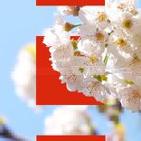 Artwork for "Stay with Me (Summer Love)"