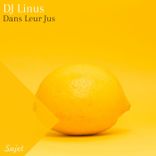 Artwork voor "Dans Leurs Jus"