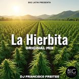 Artwork for "La Hiervita"