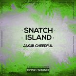 Artwork voor "Snatch / Island"