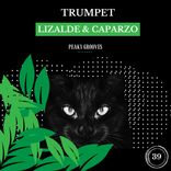 Artwork for "Trumpet"