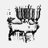 Artwork for "Siphax EP"