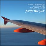 Artwork for "Fly To The Sun"