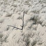 Artwork für "engörn01"