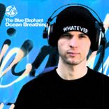 Artwork für "Ocean Breathing"