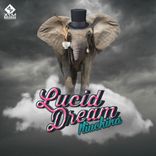 Artwork for "Lucid Dream"