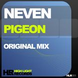Artwork for "Pigeon"