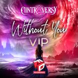 Artwork voor "Without You"
