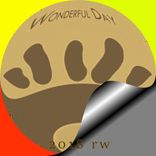 Artwork for "Wonderful day"