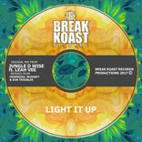 Artwork for "Light It Up"