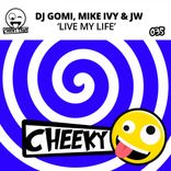 Artwork voor "Live My Life"