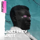 Artwork für "What They Want"
