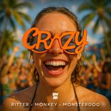 Artwork for "CRAZY"