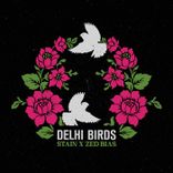 Artwork for "Delhi Birds"