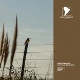 Fractal Portals (DEEPSTELL Remix)