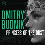 Artwork for "Princes of the dust"