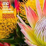 Artwork for "Flower Groove"