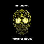 Artwork for "Roots Of House"