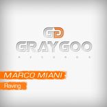 Portada para "Raving"