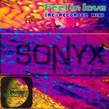 Artwork for "Feel In Love"