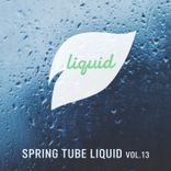 Artwork for "Spring Tube Liquid, Vol.13"