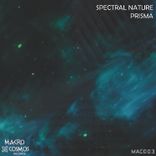 Artwork voor "Prisma"