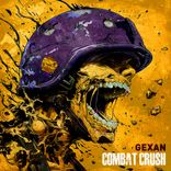 Artwork for "Combat Crush"