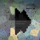 Portada para "Cavort in the Spring Rain"