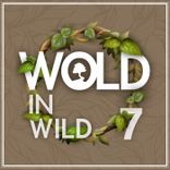 Artwork for "Wold in Wild VII"