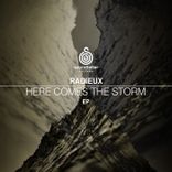 Artwork for "Here Comes the Storm"