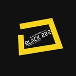 Artwork for "Black 222"