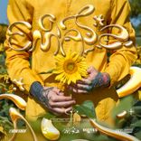 The Lights Between Us