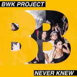 Portada para "Never Knew"