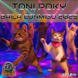 Portada para "Baila Conmigo 2025"