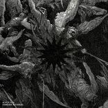 Where Lights Never Shade