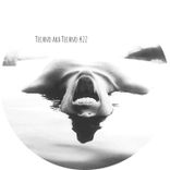 Portada para "Techno Aka Techno #22"