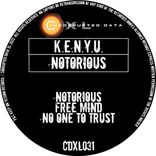 Portada para "Notorious"