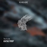 Artwork for "Katastrof"