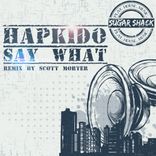 Artwork voor "Say What"