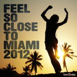Artwork voor "Feel So Close to Miami 2012"